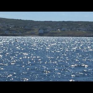 Meet your Posher, Paula